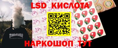 ПСИЛОЦИБИНОВЫЕ ГРИБЫ Сланцы